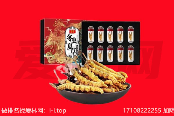 中山市西区回收虫草.jpg